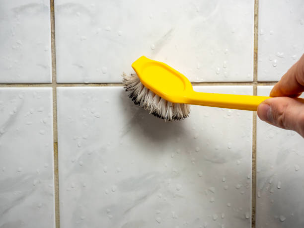 Best Preventive Mold Services in Lacy Lakeview, TX