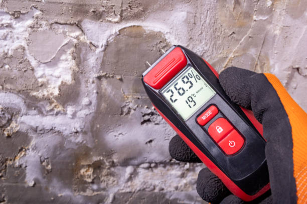 Best Commercial Mold Remediation in Lacy Lakeview, TX