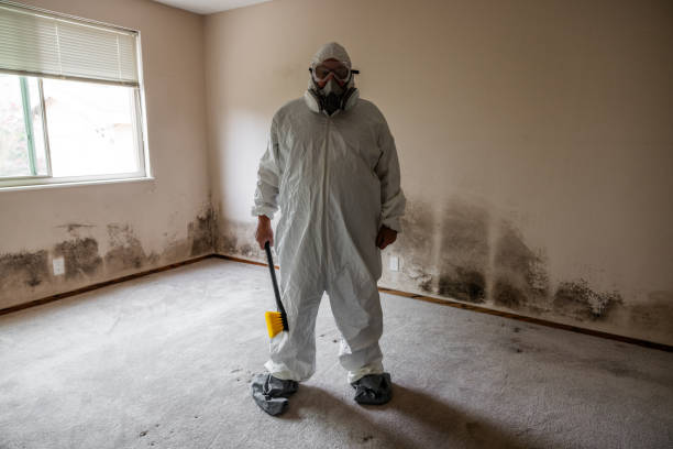 Best Industrial Mold Remediation in Lacy Lakeview, TX